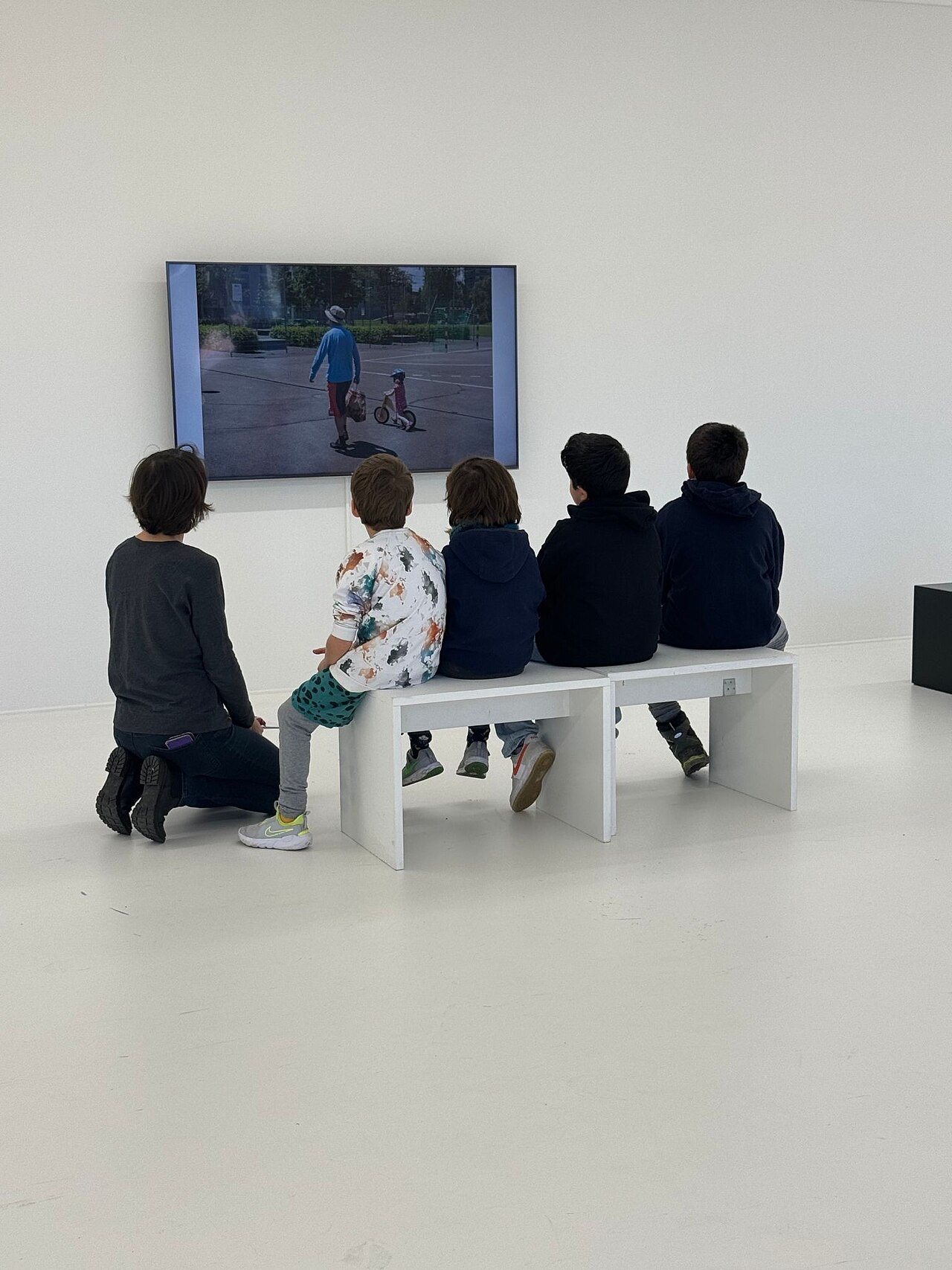 Multimedia